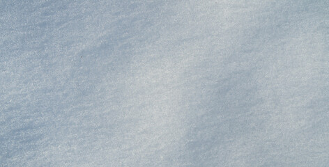 Snow covers the background. Snow fills the background completely. Snow adds beauty to the...