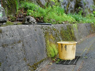 Fresh Spring Water Collected from a Hillside in Rural Japan