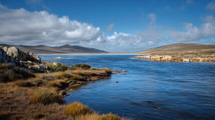 Fototapeta premium Capturing New Island in the Falklands