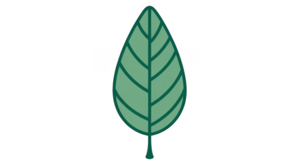 Green leaf plant nature botanical isolated on a transparent background