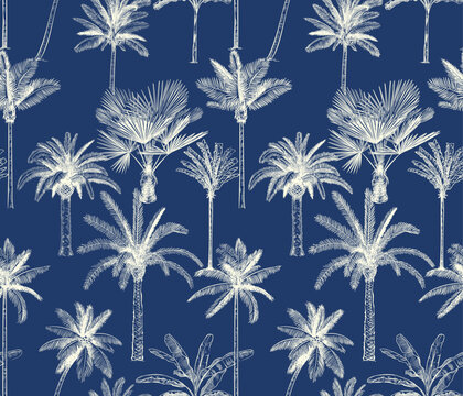 beautiful palm trees tropical blue summer seamless pattern 