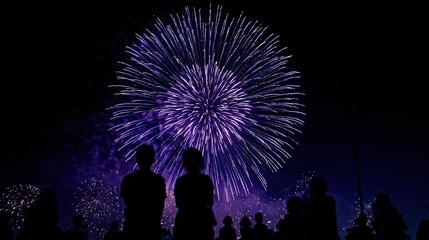 Colorful fireworks illuminate the night sky with onlookers silhouetted beneath