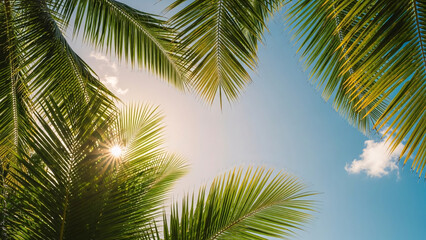 Fototapeta premium Tropical Palm Tree Leaves Against Bright Blue Sky with Soft White Clouds
