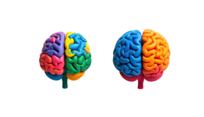Two colorful brain models displayed side-by-side against a black background