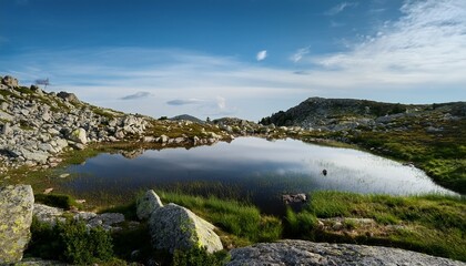 Fototapeta premium Small Lake And Bog Surounded By Rocks