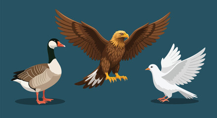 Obraz premium An illustration of a goose, an eagle, and a dove standing together on a blue background.