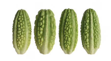 Four green bitter melons vegetables healthy organic isolated on a transparent background