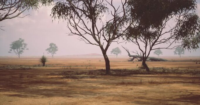 Dry terrain with scattered trees under a hazy sky captures an arid Australian landscape. The muted colors reflect the harsh environmental conditions of the season.