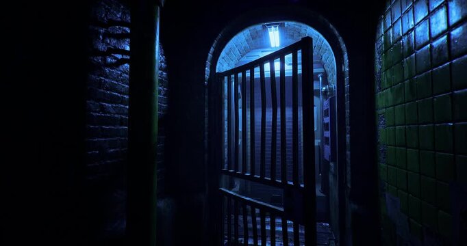 An open gate reveals a narrow alleyway illuminated by a blue light. The brick walls are damp, and shadows create a sense of intrigue in the nighttime atmosphere.