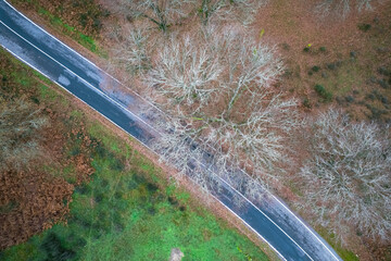Asphalt highway crossing brown leafless woods from above. The Concept of Transportation.