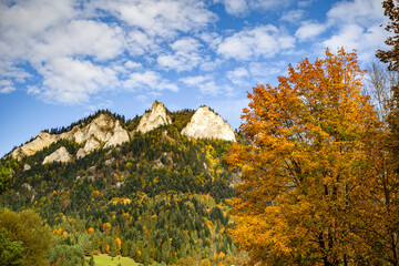 Scenic autumn mountain landscape with Trzy Korony peak and colorful forest in the Pieniny Mountains, Poland. Beautiful nature view under blue sky with clouds. © Ronin
