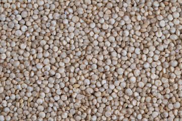 Fototapeta premium Neutral palette emphasizing brand and sustainability themes, Detailed quinoa seed image suitable for showcasing product packaging and environmentally friendly labels