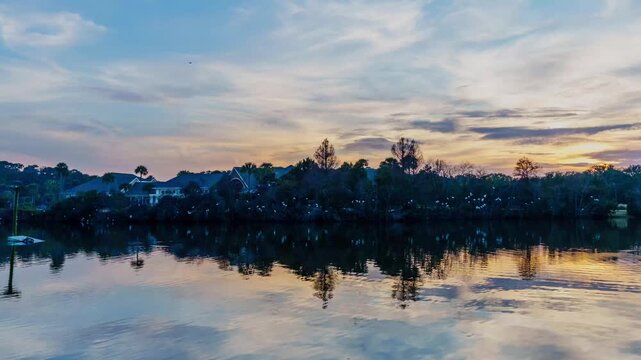 Sunset Ibis Timelapse Returning to the Rookery