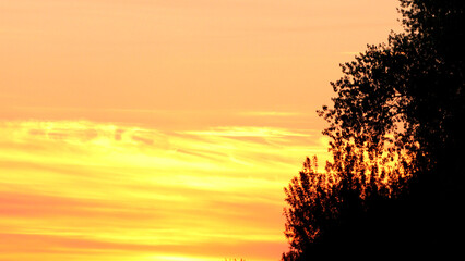 Beautiful golden hour sunset over silhouetted trees.