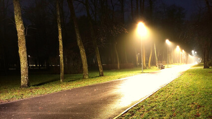 Empty park path illuminated by warm streetlights at night
