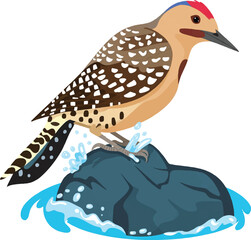 vector illustration of a bird
