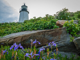 Pemaquid Point Lighthouse in Bristol ME on an early summer day in June with fresh flowers and lush foliage