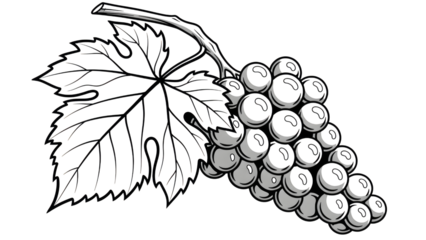 Monochromatic Grape Bunch And Leaf Outline Illustration