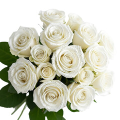 Obraz premium Elegant bouquet of white roses with dew drops on transparent background