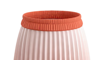 Pleated Skirt with Orange Waistband