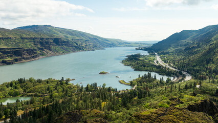 Spring Wild Flowers Blooming at Columbia River Gorge, Rowena Crest Viewpoint & Tom McCall Point Trail, Oregon