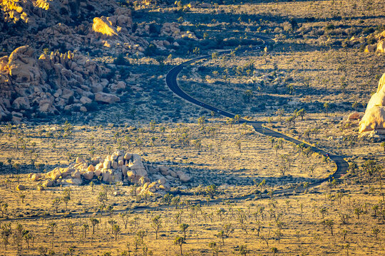Valley and road view from Ryan Mountain Trail