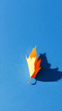 VibrantOrangeMapleLeafonBlueBackground