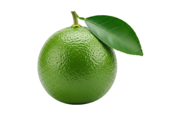 A vibrant green lime with textured skin and a fresh leaf, against a transparent background with copy space and soft shadow, captured in a 3/4 view. Concept for beverage advertising
