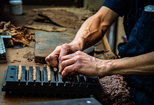 A cigar maker hand rolls premium cigars at a small US manufacturer