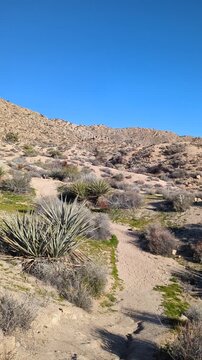 Desert landscape in Yucca Valley, California. Panning left to right.