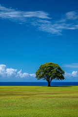 Lush green field with a solitary tree under a bright blue sky, showcasing vibrant nature and tranquility in a serene outdoor landscape environment