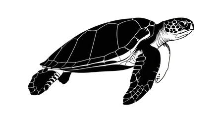 Elegant black and white illustration of a swimming sea turtle creating a captivating underwater