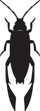 Backswimmer Insect Silhouette on White Background