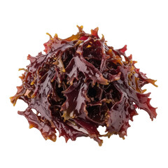 Obraz premium Meticulously arranged pile of fresh, dark reddish-purple dulse seaweed with moist, glossy fronds on a transparent studio background with copy space, healthy food ingredient concept
