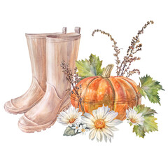 Watercolor autumn pumpkin and yellow chamomile and rubber boots isolated on white background. Bloom flower chrysanthemum or daisy for card. Clipart with vegetable for invite. Wallpaper or wrapping