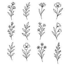 Hand-drawn Floral Sprigs