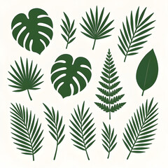 Tropical Leaves