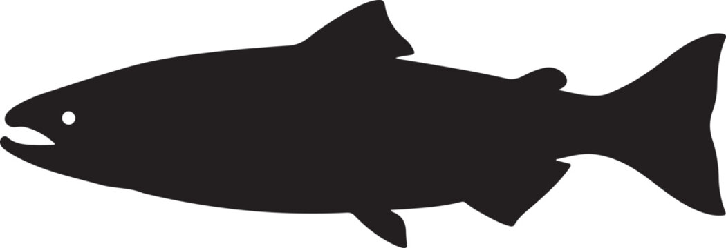 Coho Salmon Silhouette on White Background
