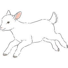 かわいい白いヤギの手書きイラスト