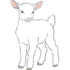 かわいい白いヤギの手書きイラスト