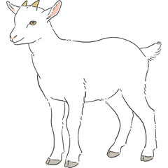 かわいい白いヤギの手書きイラスト