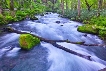 青森県十和田市、新緑の奥入瀬渓谷の風景
