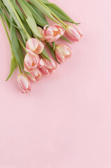 春の記念日やお祝いに合うチューリップ花束の縦型フラットレイ ピンクの柔らかい背景. 生成AI