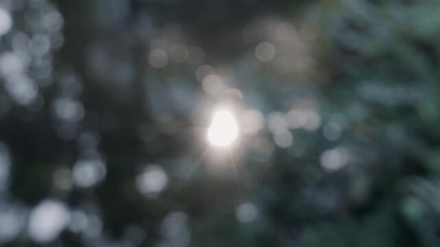 太陽の暑く強い日差し　木々の葉から差し込むさわやかな木漏れ日の光とキラキラの輝く明るい丸ボケと光芒　アウトドア・夏休み・日焼け・バカンス・旅行・洗濯のイメージ背景　