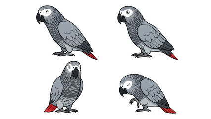 African Grey Parrot Vector Illustration Set in Various Poses