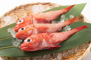 ［岩手県産］吉次　小さめ　（加熱用）