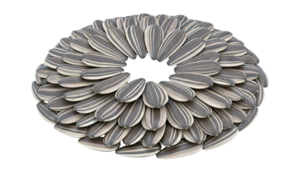 Sunflower Seeds Arranged in a Circular Pattern