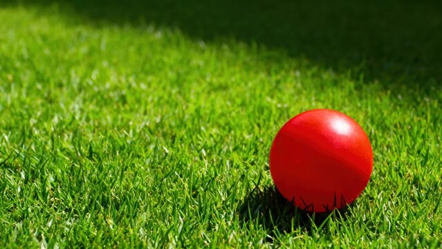 Vibrant Red Ball on Lush Green Grass
