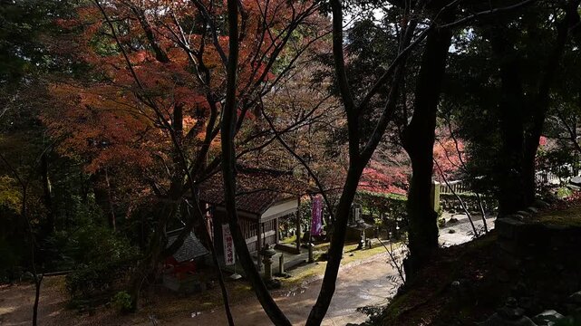 秋の瓦屋禅寺 （滋賀県東近江市, 2025年12月）