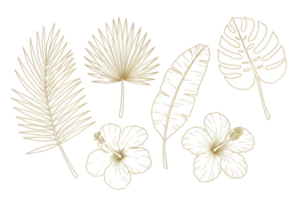 Elegant gold outline illustrations of various tropical leaves (palm frond, monstera, banana) and a hibiscus flower, on a transparent background with copy space, luxurious botanical design concept